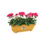 barcelona allin1 50cm honinggeel